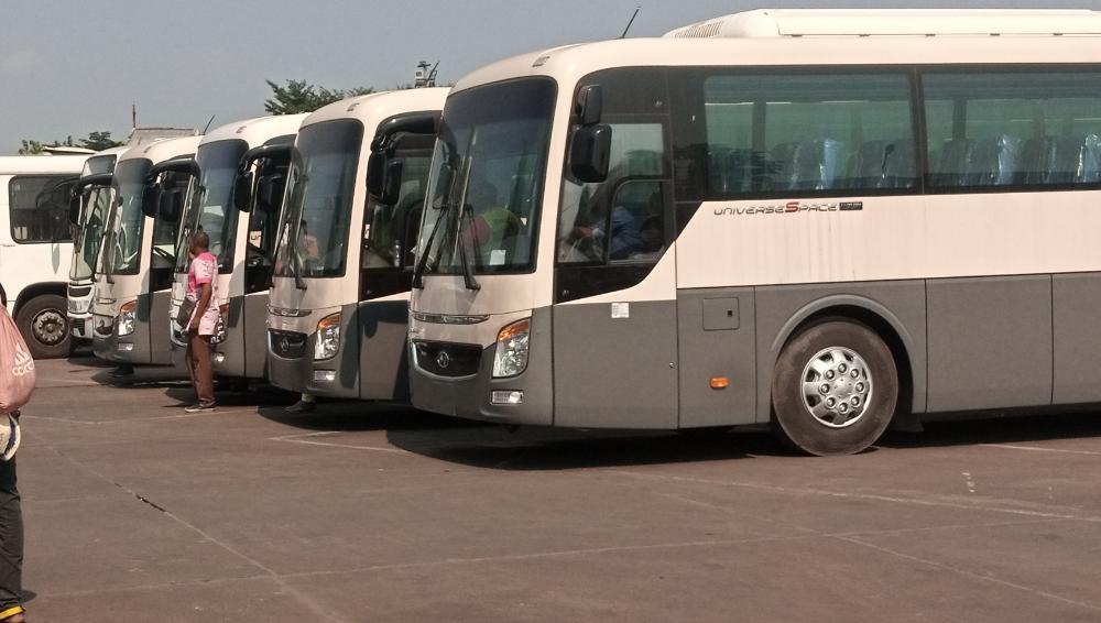 nouveaux bus transco