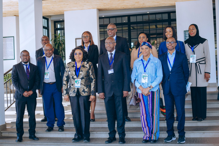 gouvernance numérique